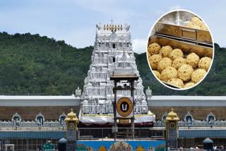 Tirumala Laddu Prasadam