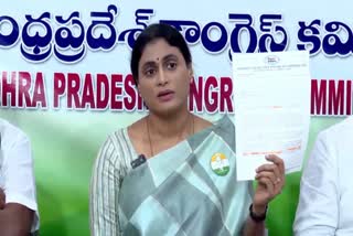 PCC Chief Sharmila Sensational Comments On Ys Jagan