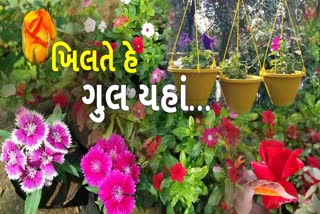 ગાર્ડનીંગ માટે અગ્રેસર ભાવનગર