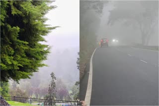 OOTY  KERALA TOURISM  E PASS IN OOTY  ഊട്ടി വ്യാപാരമേഖല