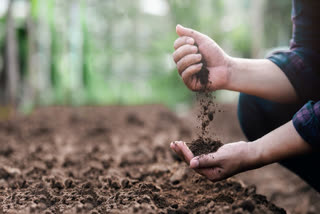 World Soil Day - 'Caring for Soils: Measure, Monitor, Manage'