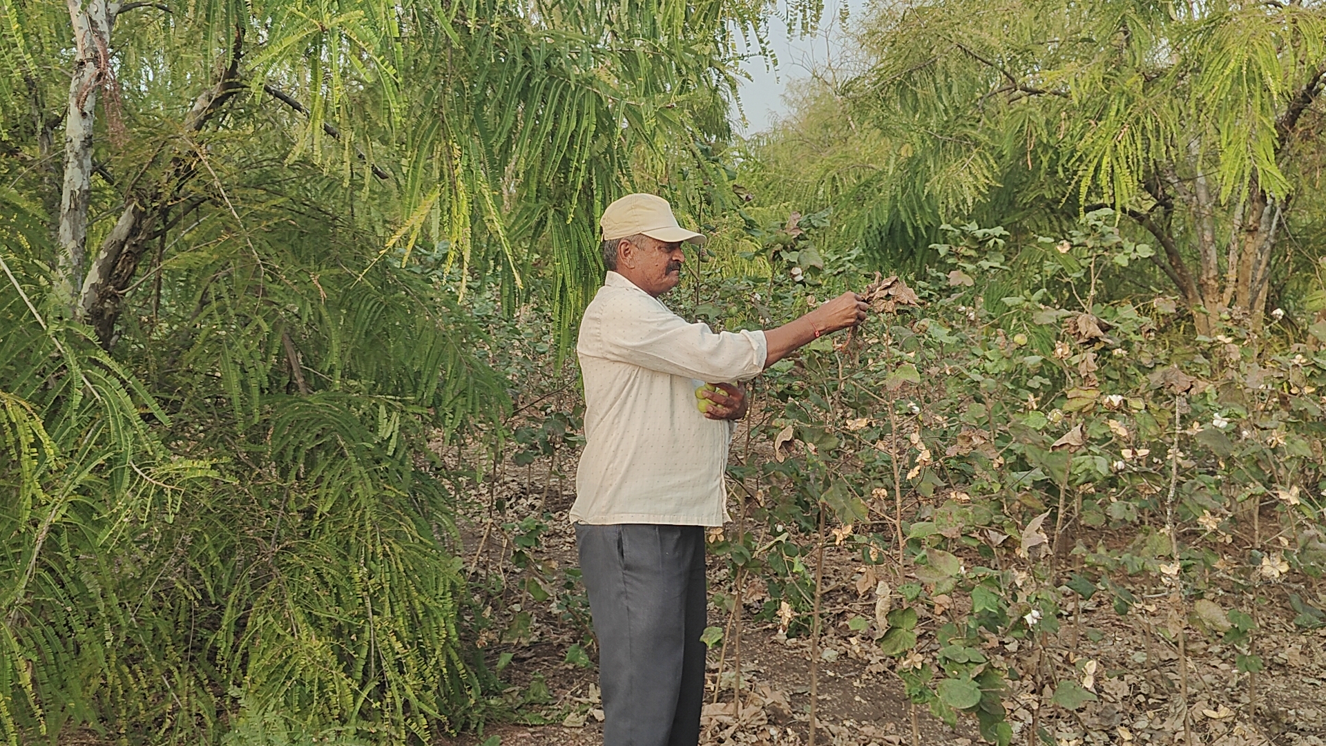 અશોકભાઈ ચતુરભાઈ ગજેરા