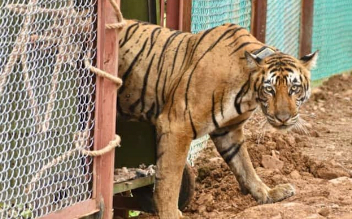 Sariska Tiger Reserve