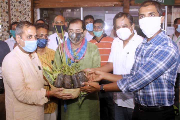 MLA Shailesh Pandey distributed plant