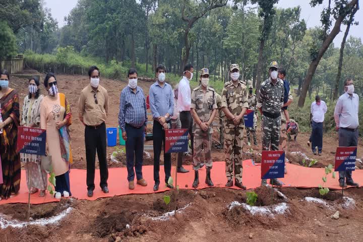 Forest Festival 2020 in Kiriburu Meghahatuburu in Chaibasa