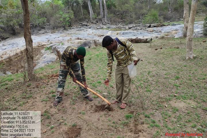  ಬಿದಿರು ಬಿತ್ತನೆ ಕಾರ್ಯ