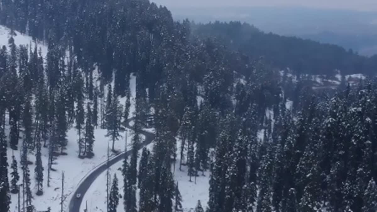 Snow clad Gulmarg