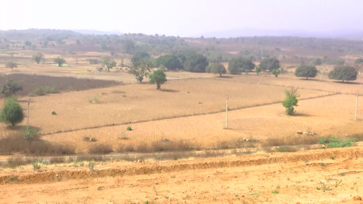Farmers Lands issue in Udandapur
