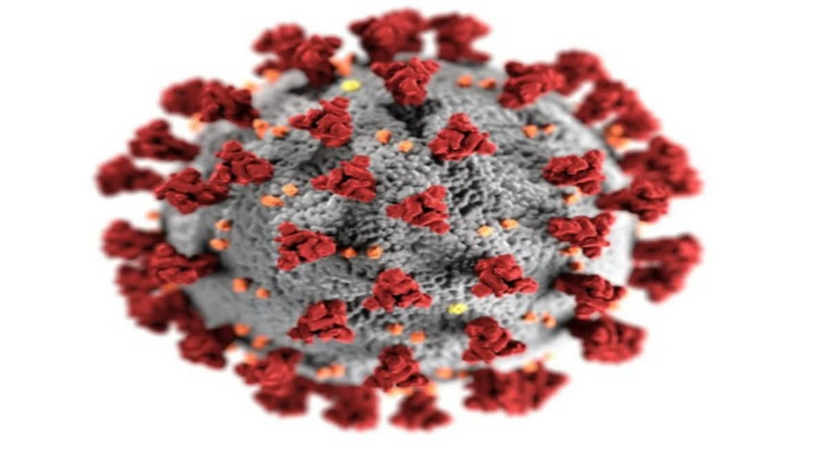 The Health Ministry officials said that even though the number of cases is rising and the JN.1 sub-variant has been detected in the country, there is no cause of immediate concern as the majority of those infected are opting for home-based treatment, indicating mild illness.