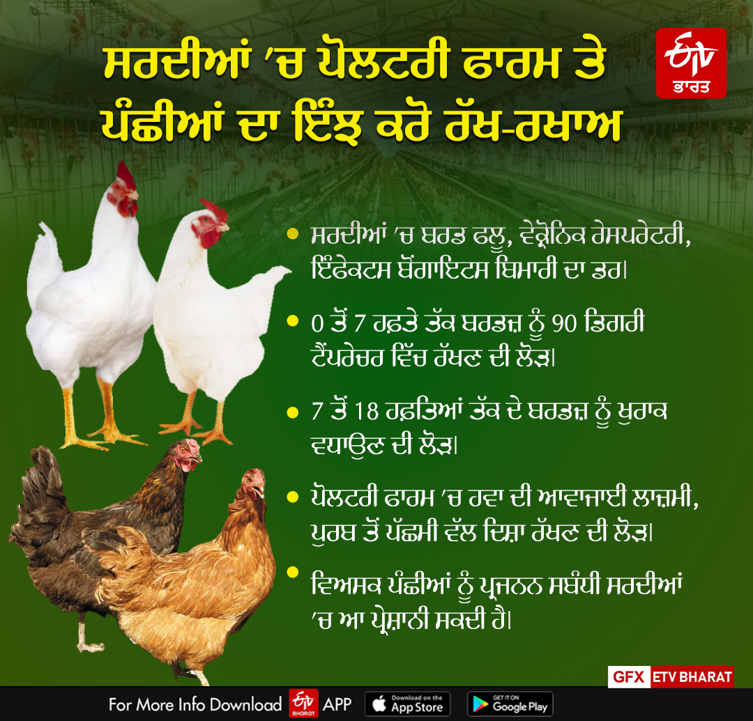 Care Of Poultry Farm In Winters