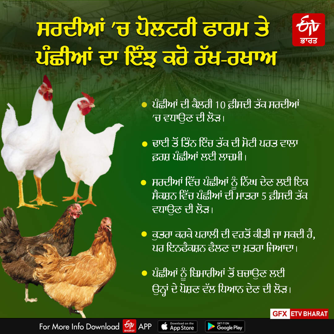 Care Of Poultry Farm In Winters
