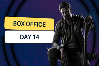 Salaar box office day 14: Prabhas' actioner down to single digit collection
