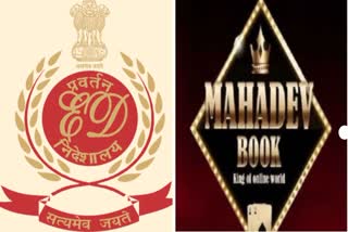Mahadev betting app case