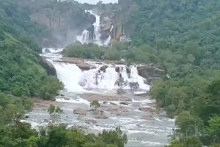 Papanasam Dam water level increased in nellai