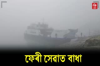 Ferry movement stopped