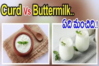 Curd Vs Buttermilk