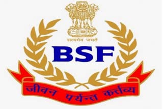 Chhattisgarh: 17 BSF jawans injured as vehicle overturns in Kanker, steering failure blamed