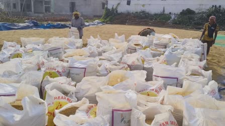 Paddy Procurement Irregularities