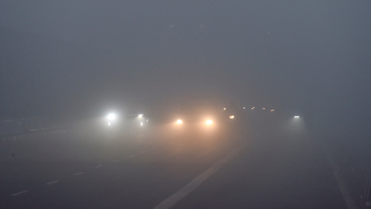 DENSE FOG GRIPS DELH  Air Rail Traffic Hit  DELHI AIRPORT  delhi winter