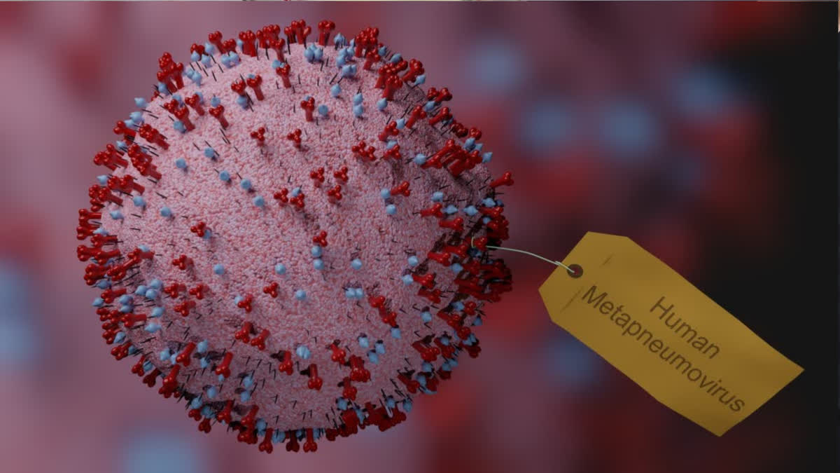 HMPV outbreak in China