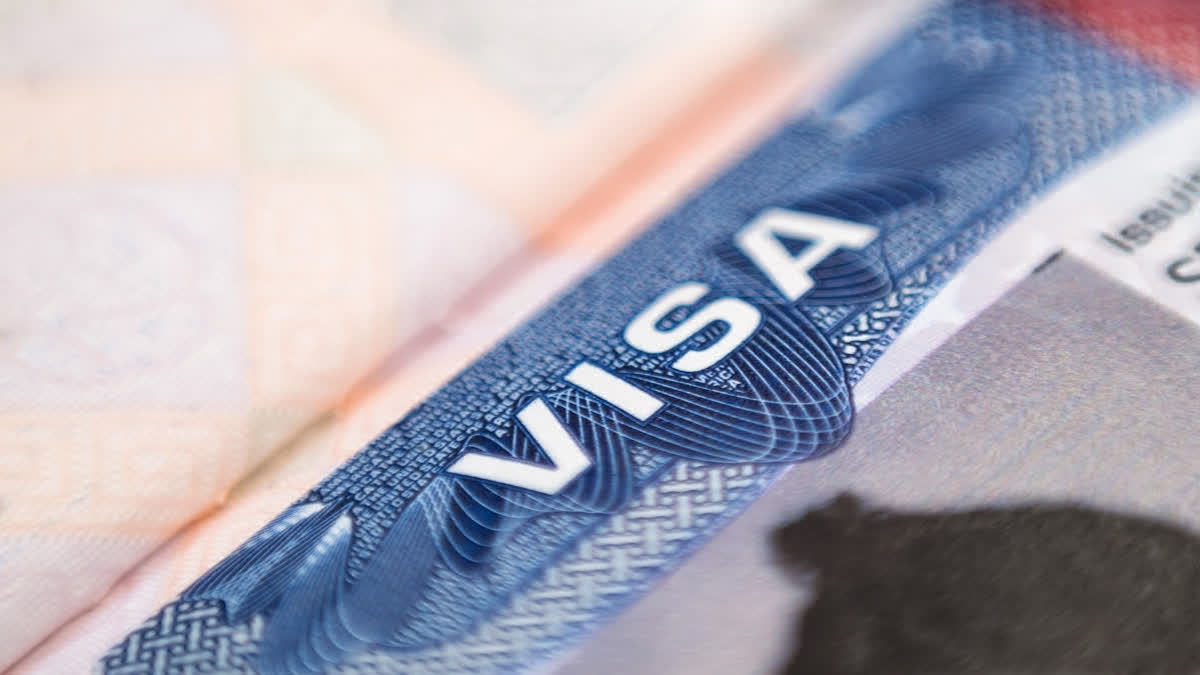 Govt Launches 2 Special Categories Visas For International Students