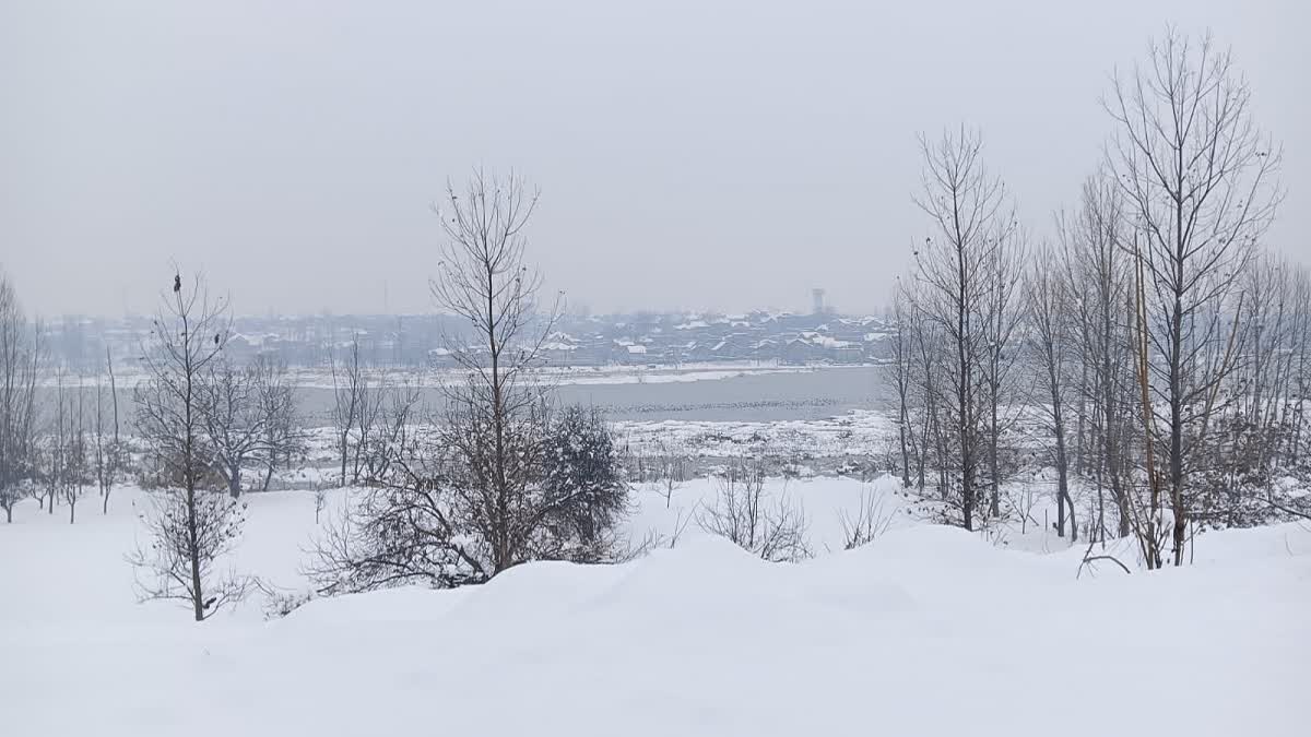 Sudden Temperature Surge In Kashmir Melts Snow In Harshest Winter Period ‘Chilla-i-Kalan’: Here’s Why