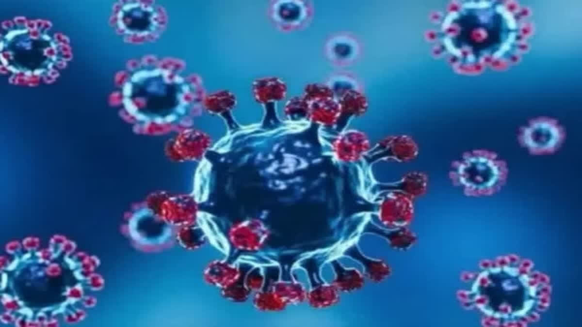 HMPV VIRUS IN CHINA