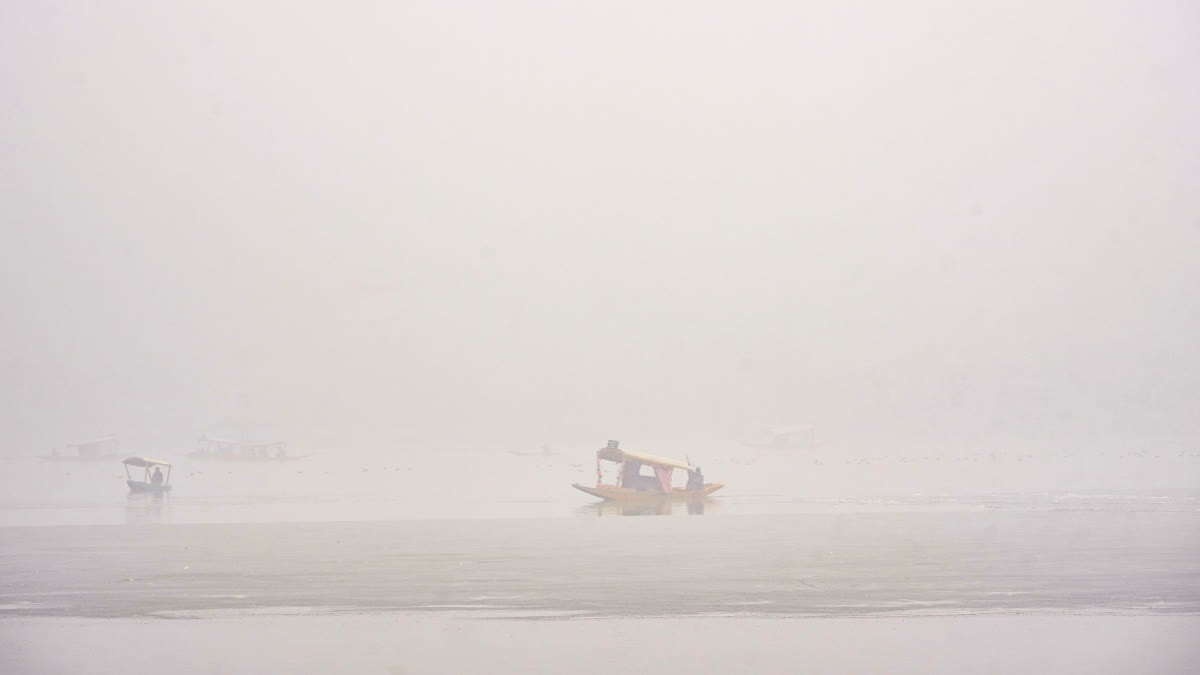 Dense Fog Hits Kashmir