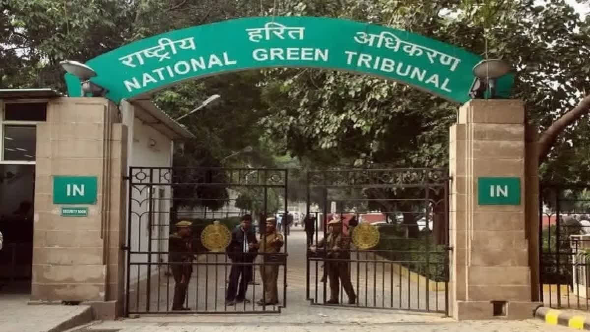 NGT Issues Notice On Plea Claiming Misuse Of Forest Land Allotted For Afforestation