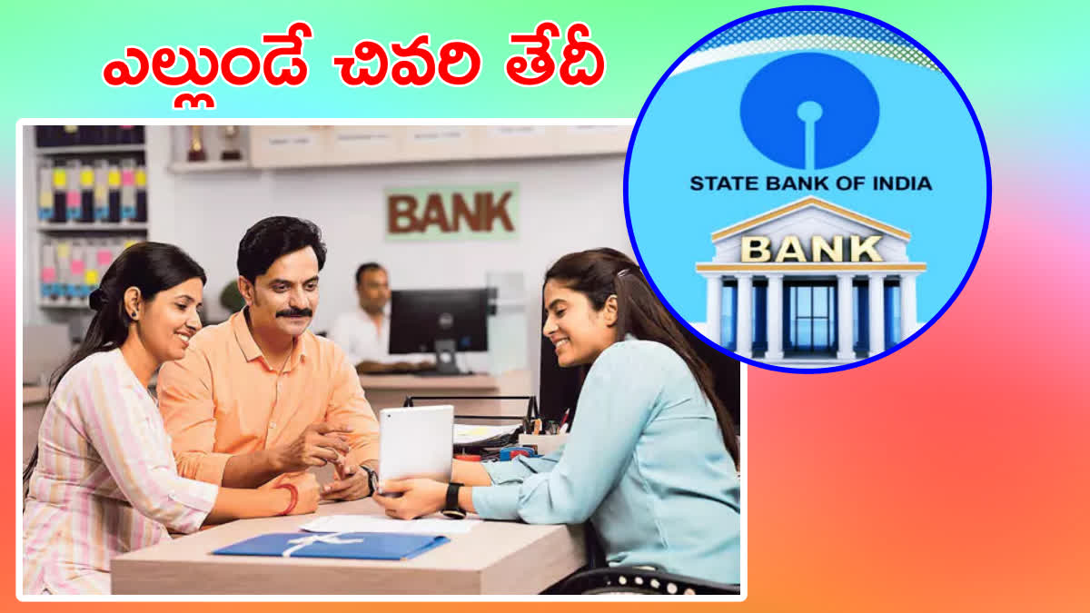 Junior Associates Jobs in SBI