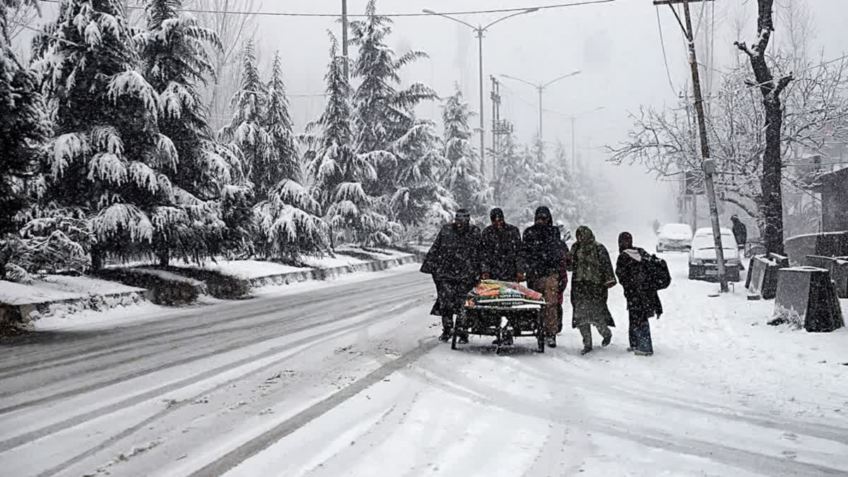 Kashmir Receives Fresh Snowfall, Disrupts Flights At Srinagar Airport