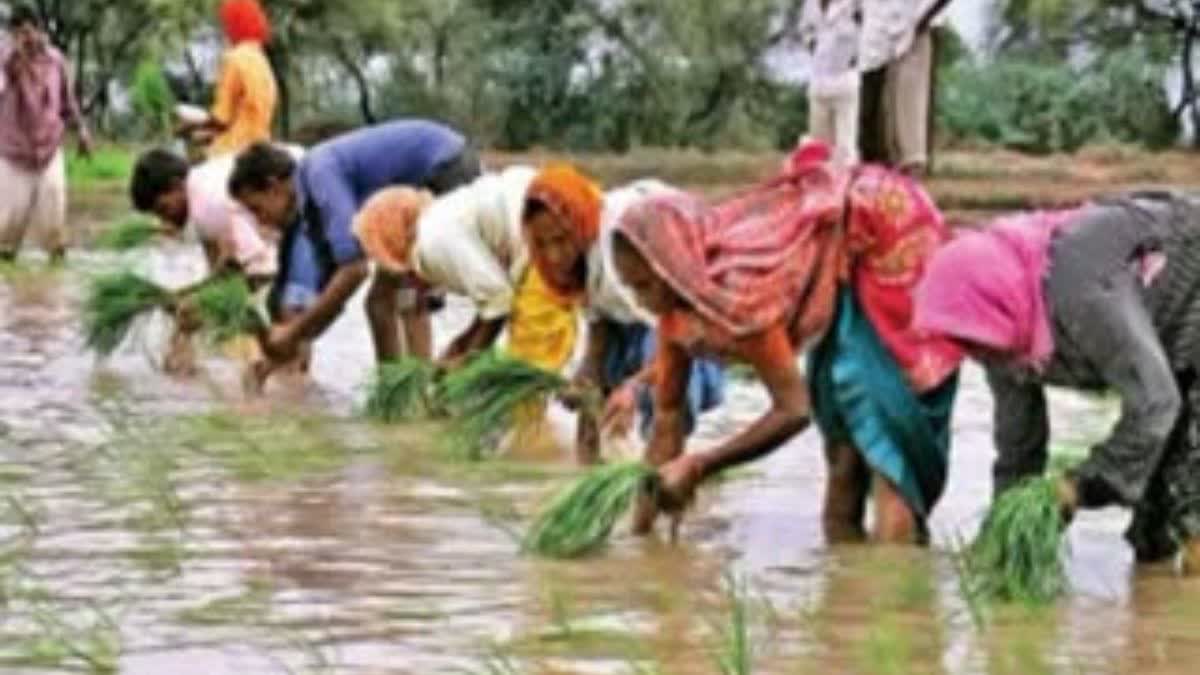 telangana rythu bharosa scheme providing financial assistance to farmers implement from jan 26