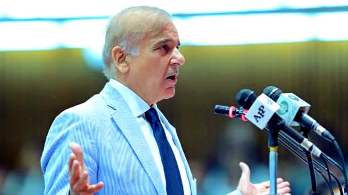 pakistan pm shehbaz sharif statement on kashmir issue article 370