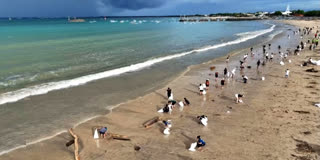 Hundreds of volunteers took part in a cleanup operation on Kedonganan beach in Bali