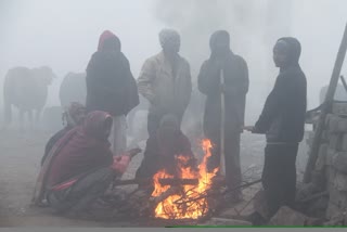 કડકડતી ઠંડીથી બચવા બોનફાયર પાસે બેઠેલા લોકો