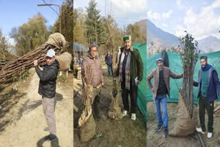 HIMACHAL HORTICULTURE DEPARTMENT