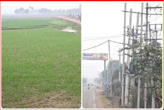 Farmers upset with electricity department in Nuh