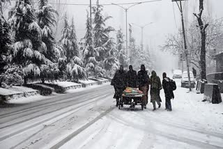 Kashmir Receives Fresh Snowfall, Disrupts Flights At Srinagar Airport