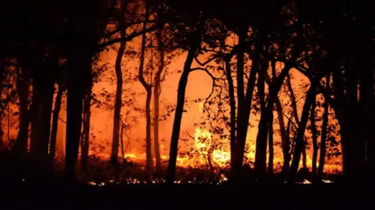 Death toll from wildfires in Chile rises to 99
