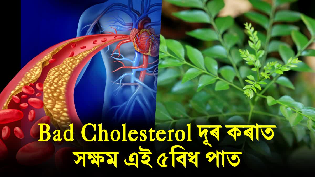 These 5 Green Leaves can cure your bad cholesterol