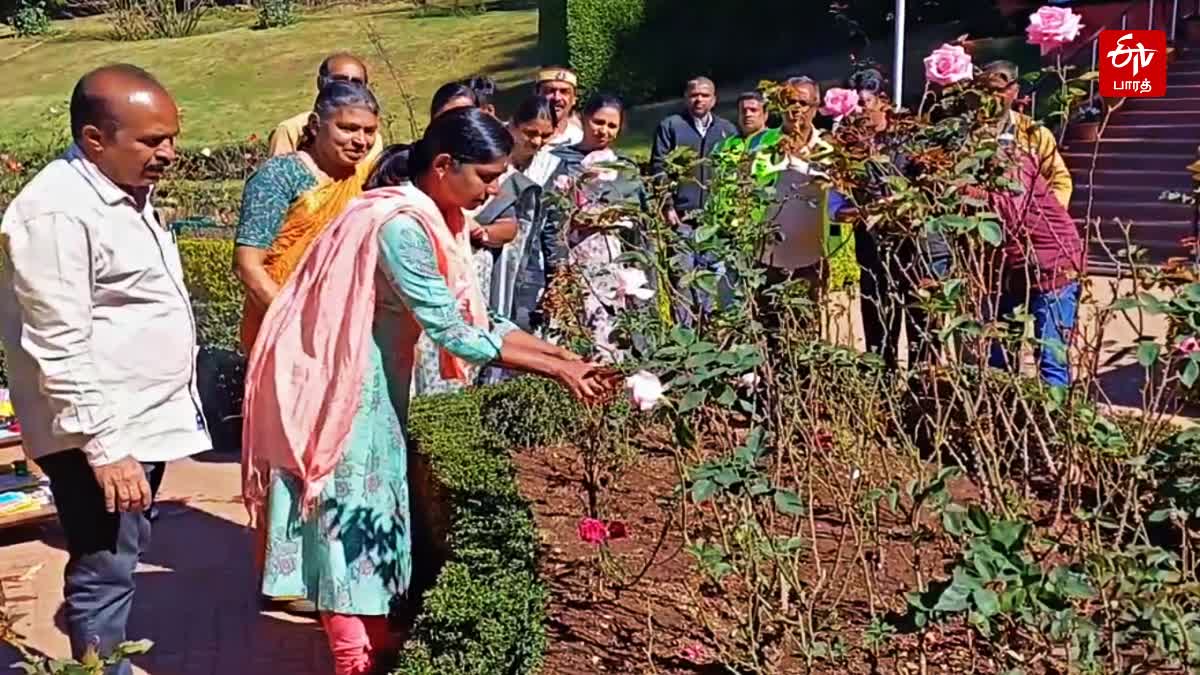 Rose Pruning work started in ooty