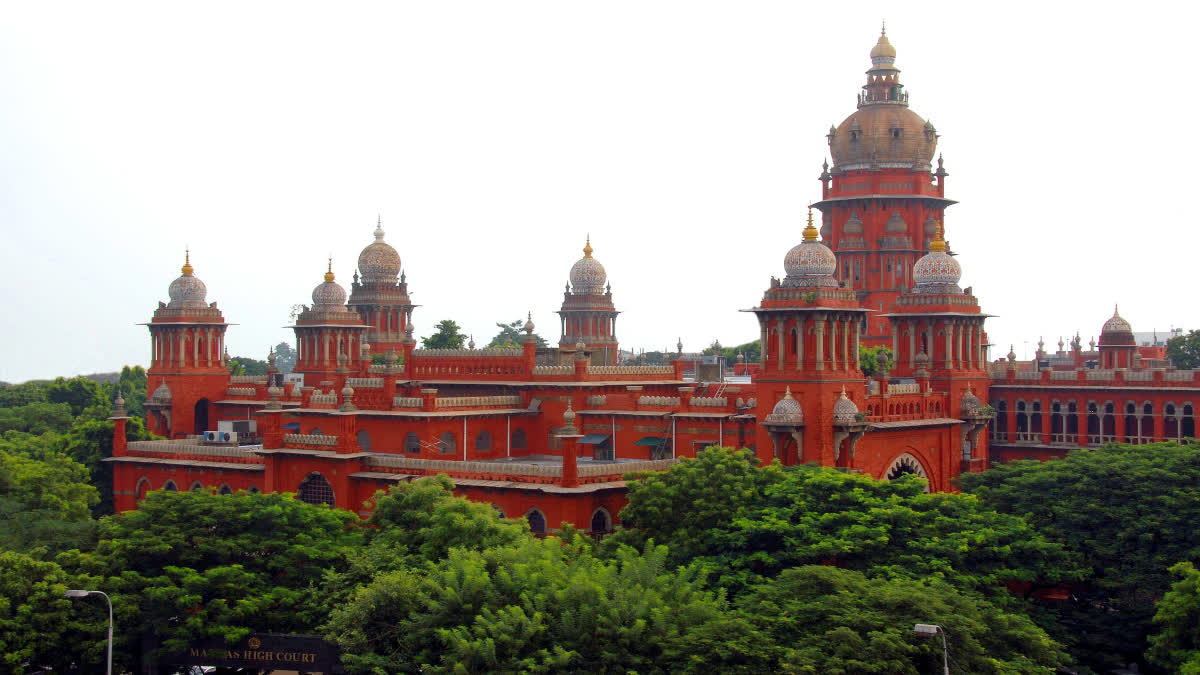 madras high court