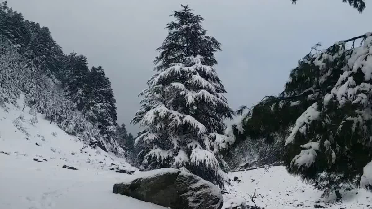 gulmarg-avalanche-two-tourists-rescued