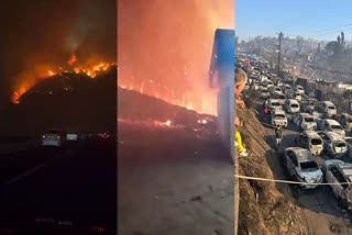Death toll in Chile wildfires  Chile wildfires  ചിലി കാട്ടുതീ  wildfires  കാട്ടുതീ