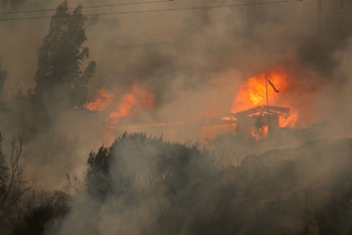 Death toll rises to 64 as wildfires continue to wreak havoc in Chile