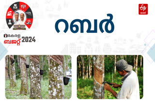 Kerala Budget 2024  Rubber Farming Kerala Budget  സംസ്ഥാന ബജറ്റ്‌ 2024  കേരള ബജറ്റ് പ്രഖ്യാപനം റബര്‍ മേഖല  റബര്‍ താങ്ങുവില