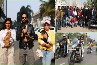 Rally With Street Dogs