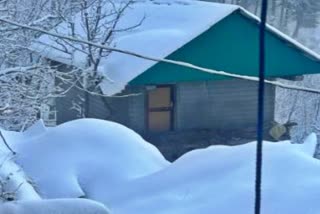 Himachal Pradesh: Thick blanket of snow covers Shimla