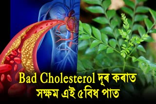 These 5 Green Leaves can cure your bad cholesterol