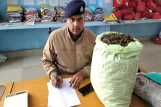 Ganja Seized In Kaimur